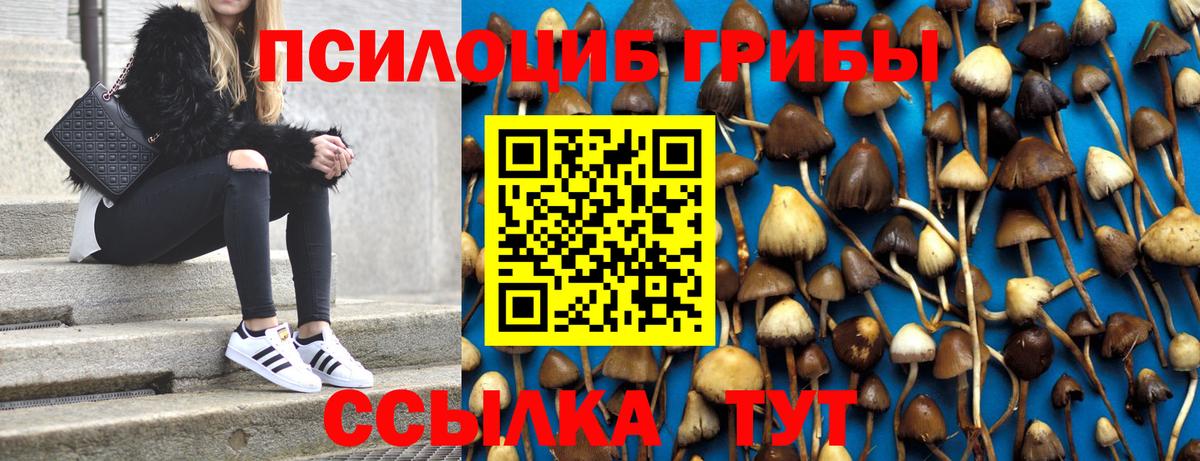 Псилоцибиновые грибы Psilocybine cubensis Орёл